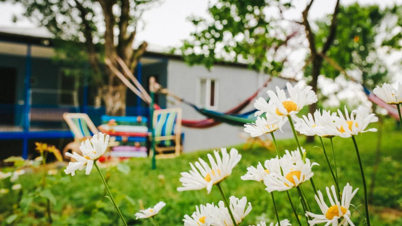Bebo Babu Guest House Кутаиси Экстерьер фото